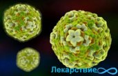 Вирус Коксаки — основные симптомы, методы лечения у детей и взрослых, фото проявления заболевания у ребенка, профилактика